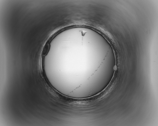 X0000096451272200802141505