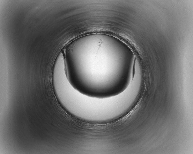 X0000096451273200802141505