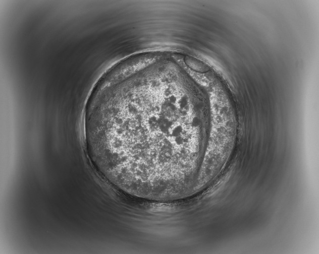 X0000096451275200802141505