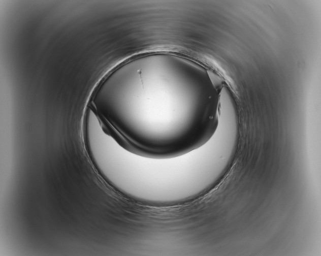 X0000096451276200802141505