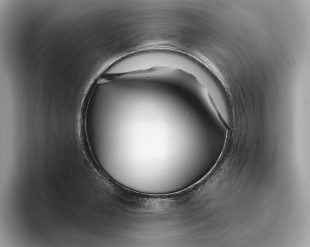 X0000096451277200802141505