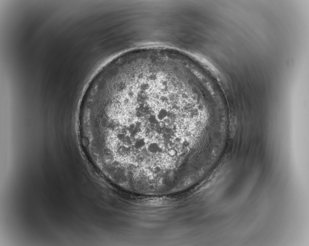 X0000096451279200802141505