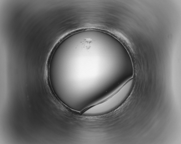 X0000096451280200802141505