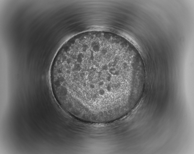 X0000096451283200802141505