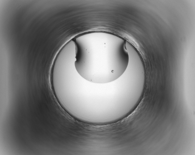 X0000096451284200802141505