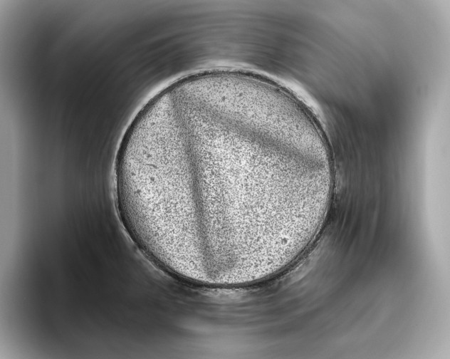 X0000096451287200802141505