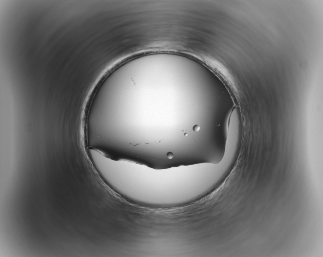 X0000096451288200802141505