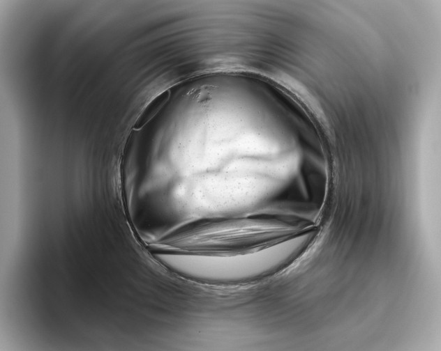 X0000096451289200802141505