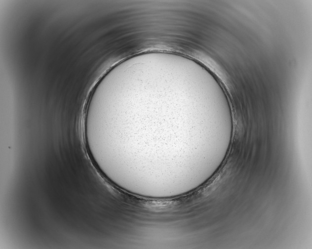 X0000096451290200802141505