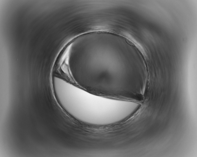 X0000096451291200802141505