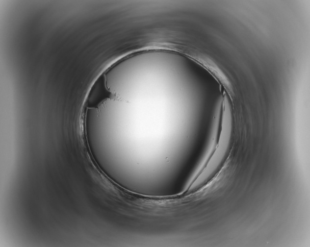 X0000096451292200802141505