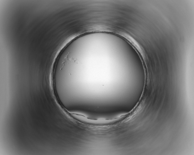 X0000096451293200802141505