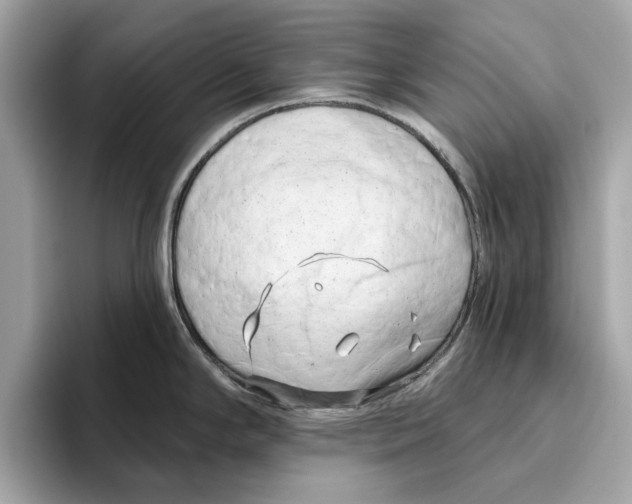 X0000096451294200802141505