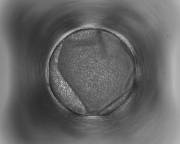 X0000096451295200802141504