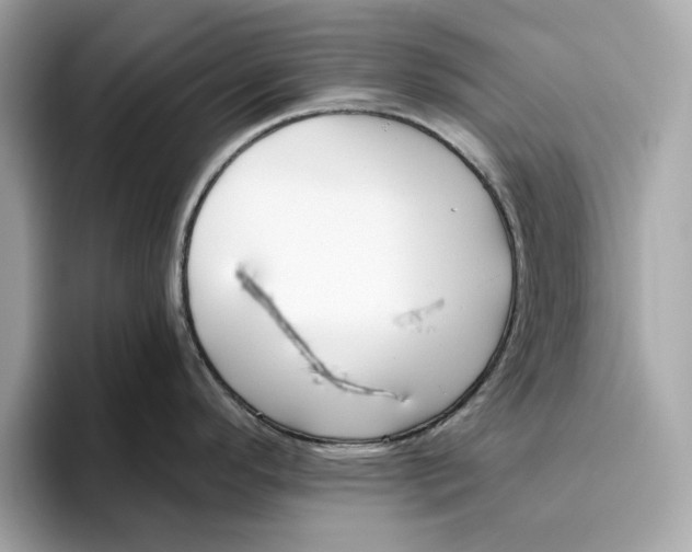 X0000096451296200802141504