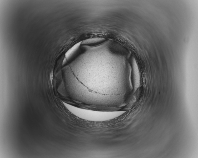 X0000096451298200802141504