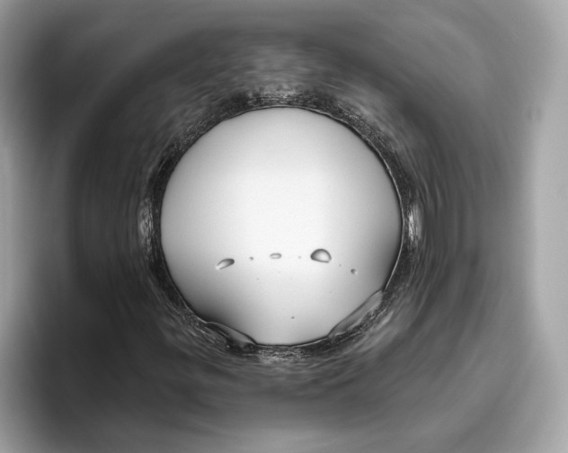 X0000096451299200802141504