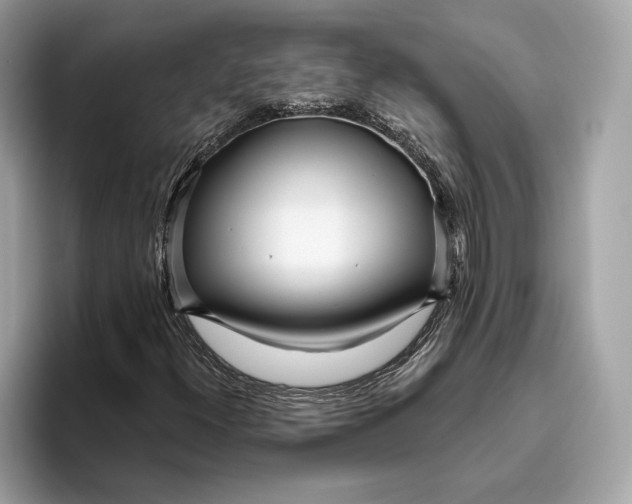 X0000096451300200802141504