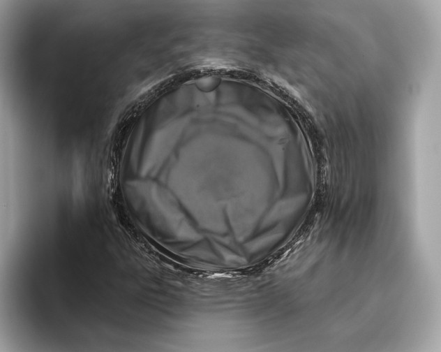 X0000096451303200802141504