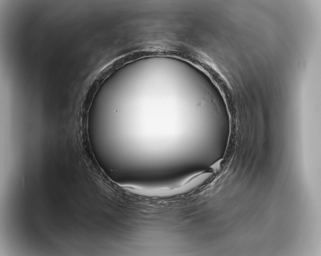 X0000096451304200802141504