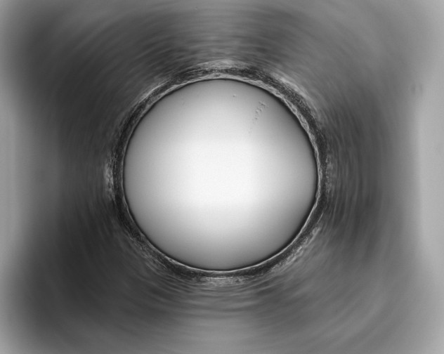 X0000096451305200802141504