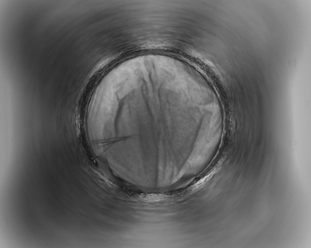 X0000096451306200802141504