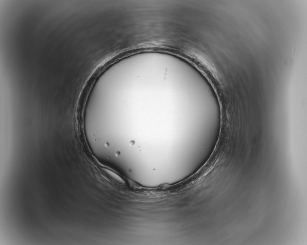 X0000096451308200802141504