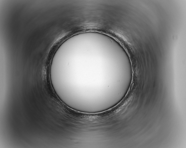 X0000096451309200802141504