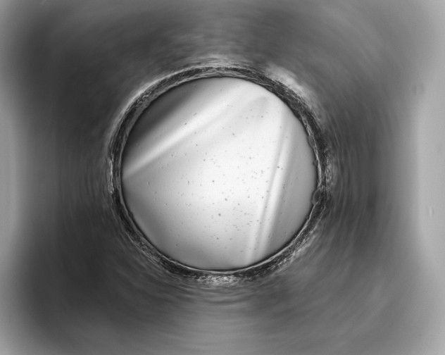 X0000096451310200802141504