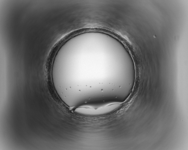 X0000096451311200802141504