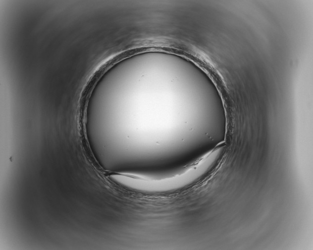 X0000096451312200802141504