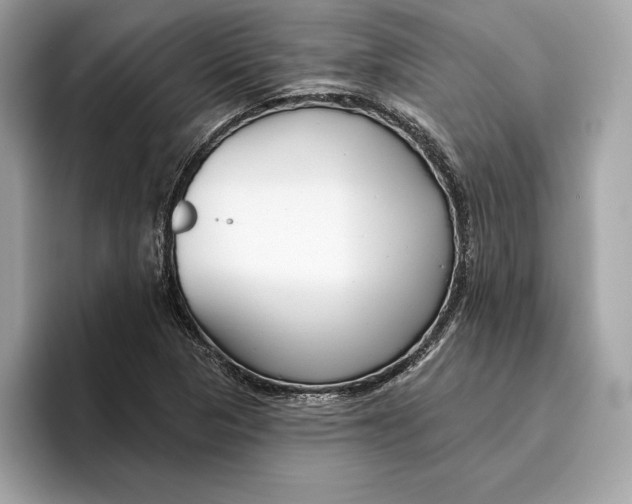 X0000096451313200802141504