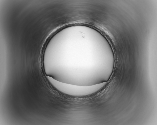 X0000096451316200802141504