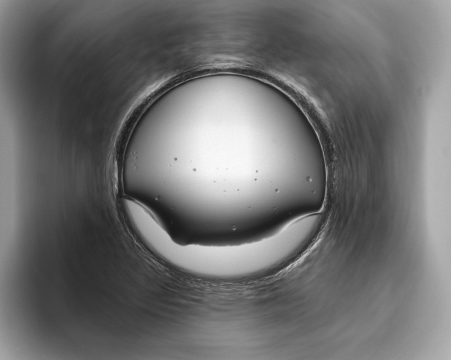 X0000096451317200802141504