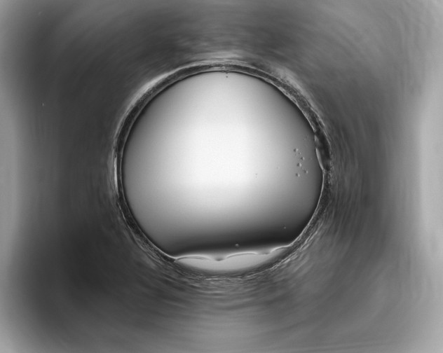 X0000096451320200802141504