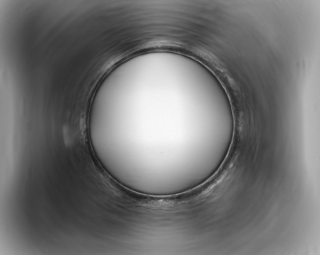 X0000096451321200802141504