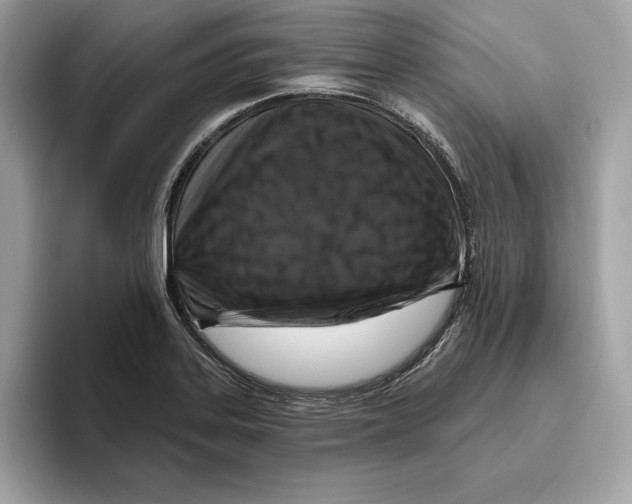 X0000096451323200802141504