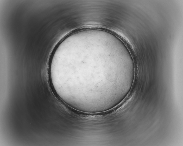 X0000096451325200802141504