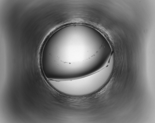 X0000096451326200802141504