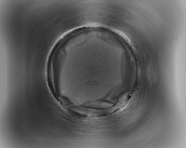 X0000096451327200802141504