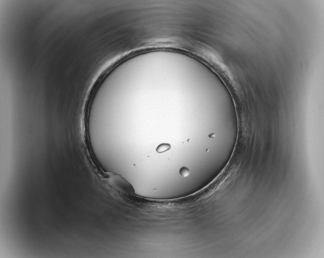 X0000096451328200802141504