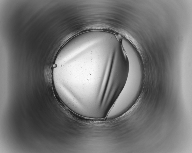 X0000096451329200802141504