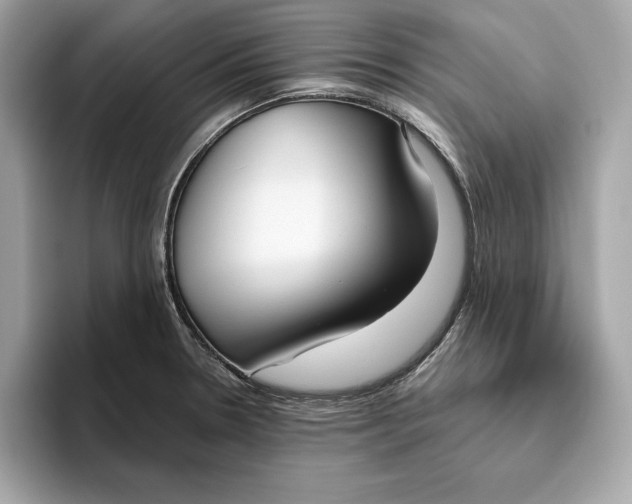 X0000096451330200802141504