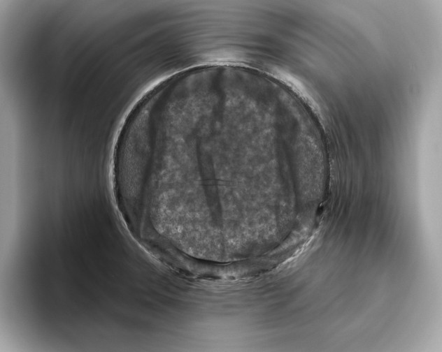 X0000096451331200802141504