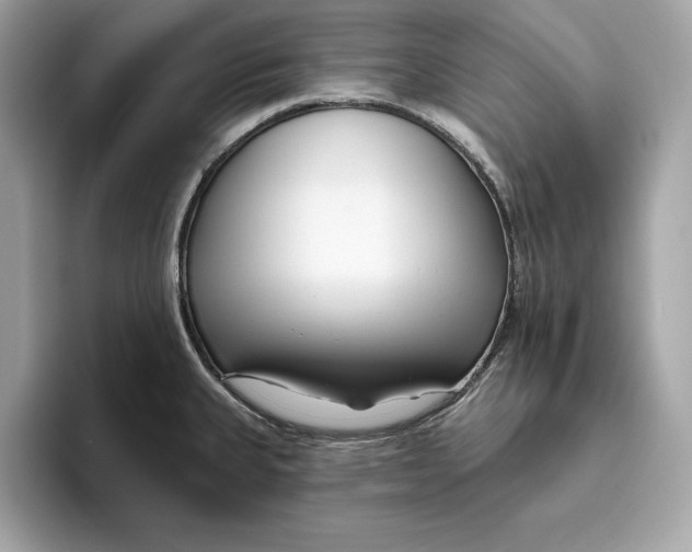 X0000096451335200802141504