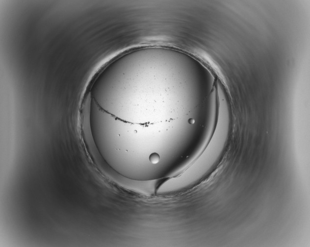 X0000096451336200802141504