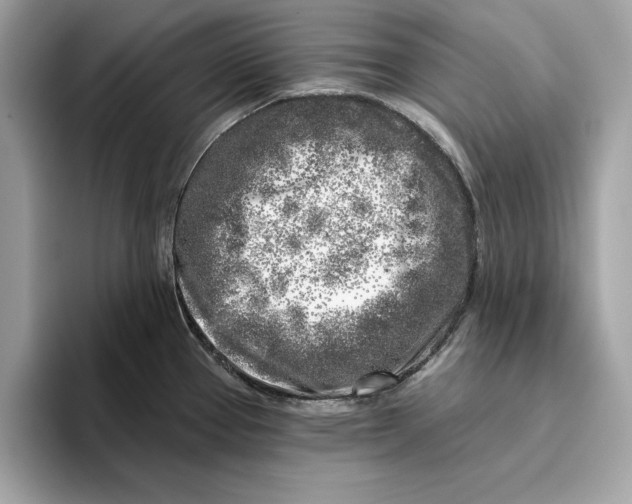 X0000096451337200802141504