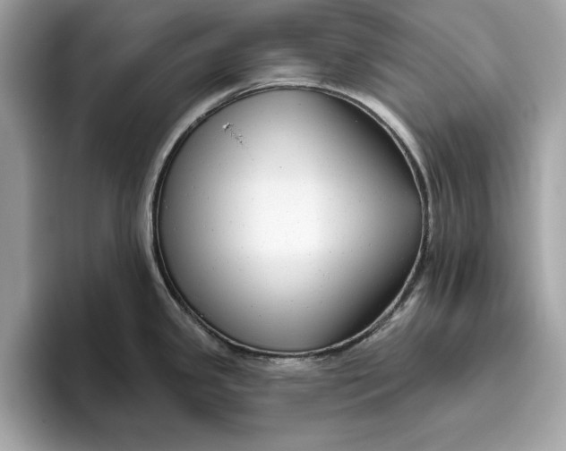 X0000096451341200802141504