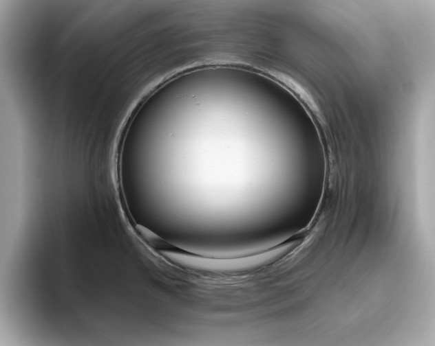 X0000096451342200802141504