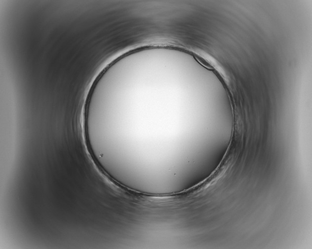 X0000096451343200802141504